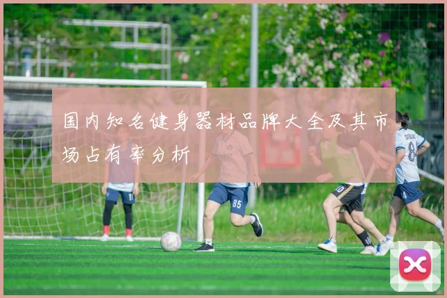 国内知名健身器材品牌大全及其市场占有率分析