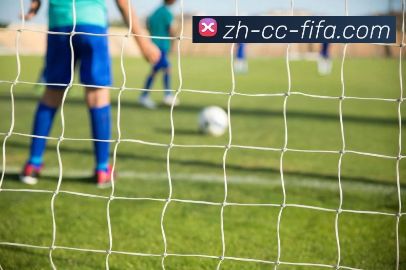 世界杯赛程服务体系