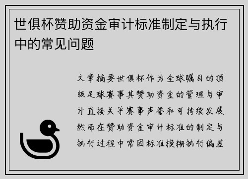 世俱杯赞助资金审计标准制定与执行中的常见问题